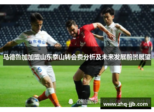 马德鲁加加盟山东泰山转会费分析及未来发展前景展望